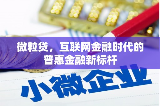三乡微粒贷，互联网金融时代的普惠金融新标杆