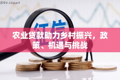 三乡农业贷款助力乡村振兴，政策、机遇与挑战
