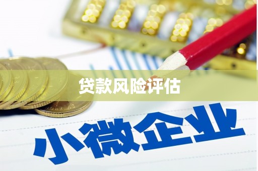 三乡贷款风险评估