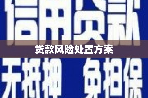 三乡贷款风险处置方案