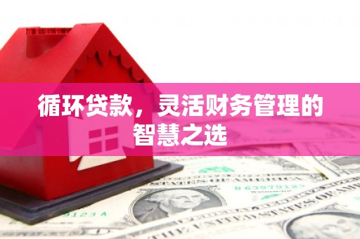 三乡循环贷款，灵活财务管理的智慧之选