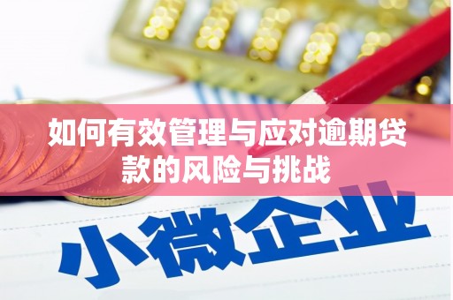 三乡如何有效管理与应对逾期贷款的风险与挑战