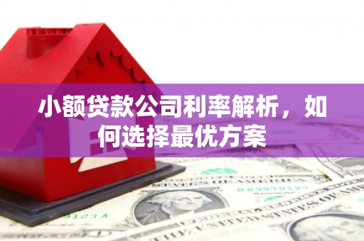 三乡小额贷款公司利率解析，如何选择最优方案