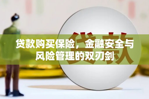 三乡贷款购买保险，金融安全与风险管理的双刃剑