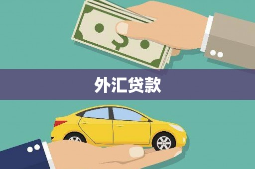 三乡外汇贷款
