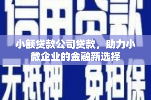 三乡小额贷款公司贷款，助力小微企业的金融新选择