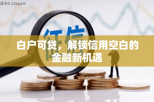 三乡白户可贷，解锁信用空白的金融新机遇
