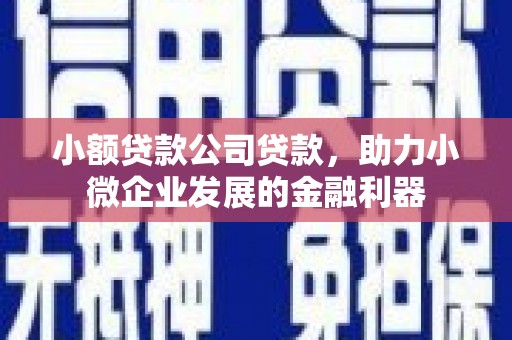 三乡小额贷款公司贷款，助力小微企业发展的金融利器