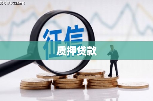 三乡质押贷款