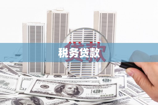 三乡税务贷款