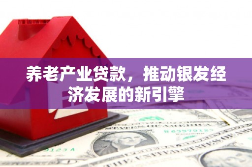 三乡养老产业贷款，推动银发经济发展的新引擎