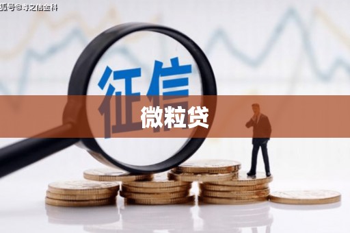 三乡微粒贷