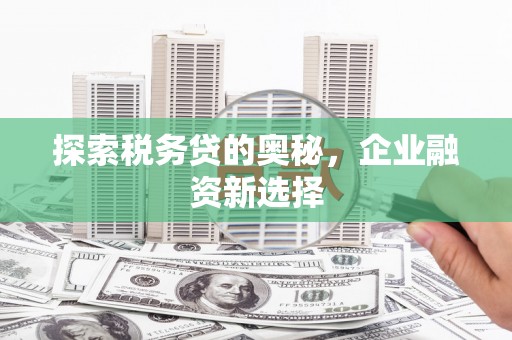三乡探索税务贷的奥秘，企业融资新选择