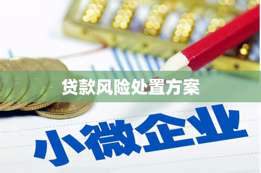 三乡贷款风险处置方案