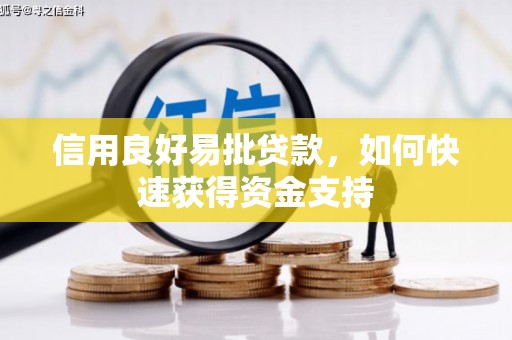 三乡信用良好易批贷款，如何快速获得资金支持
