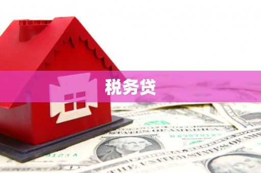 三乡税务贷