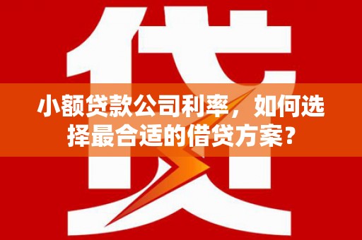 三乡小额贷款公司利率，如何选择最合适的借贷方案？