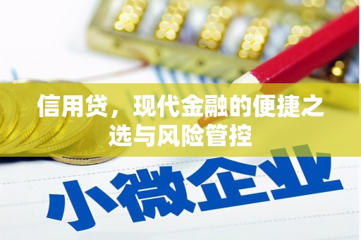 三乡信用贷，现代金融的便捷之选与风险管控