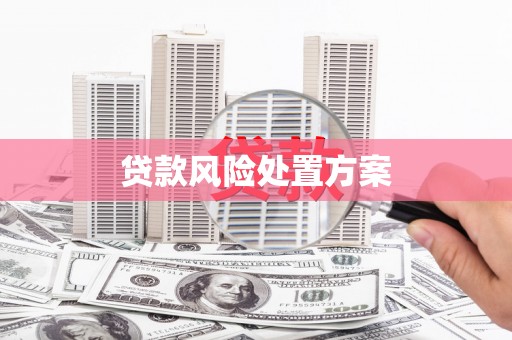 三乡贷款风险处置方案