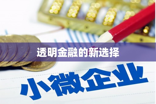 三乡透明金融的新选择